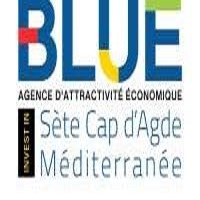 DIRECTEUR/TRICE GÉNÉRAL(E)